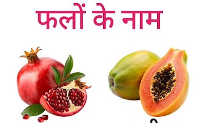 Learn Fruit Names in Hindi